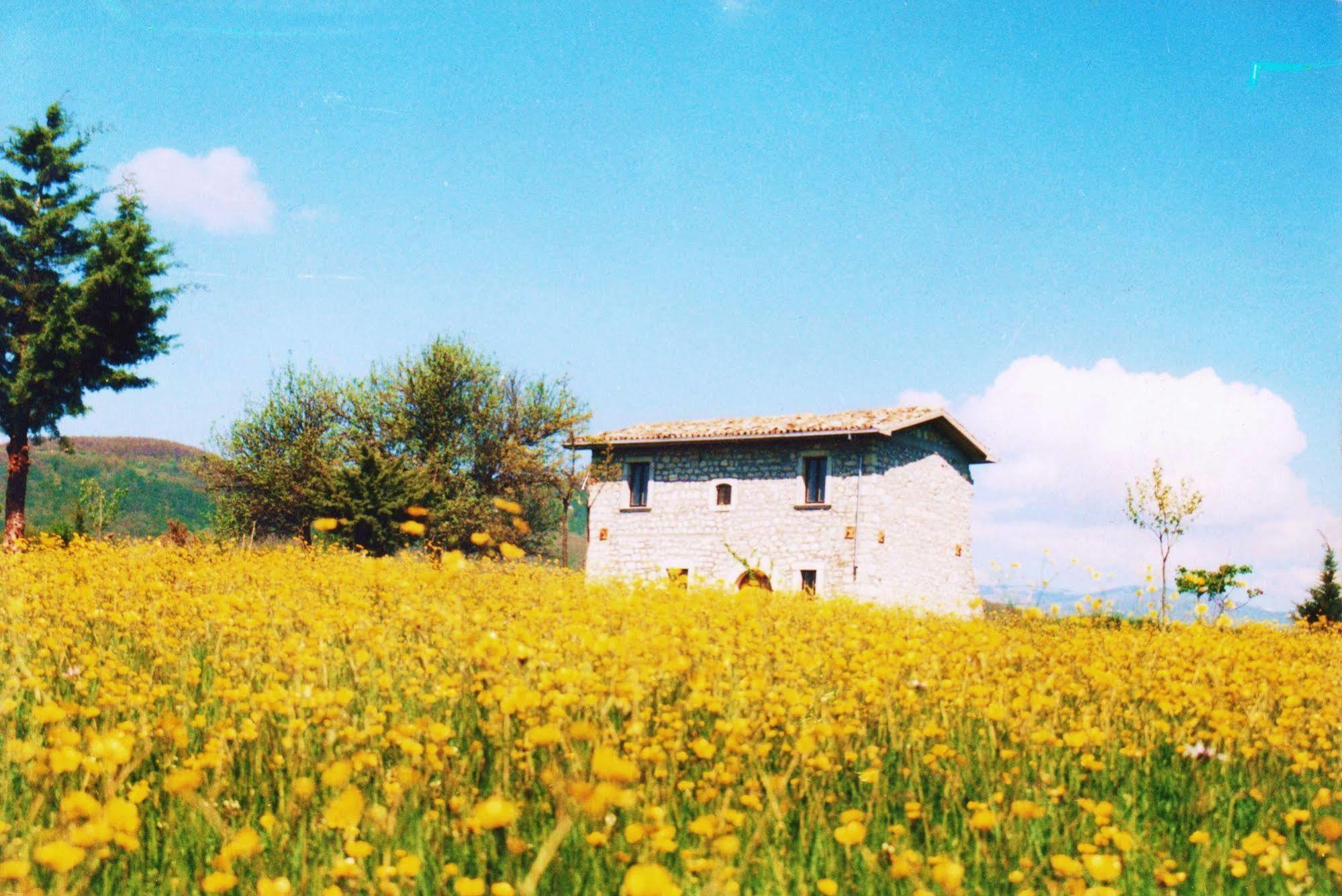 Casino Tonti Iarussi Villa Forli del Sannio Luaran gambar